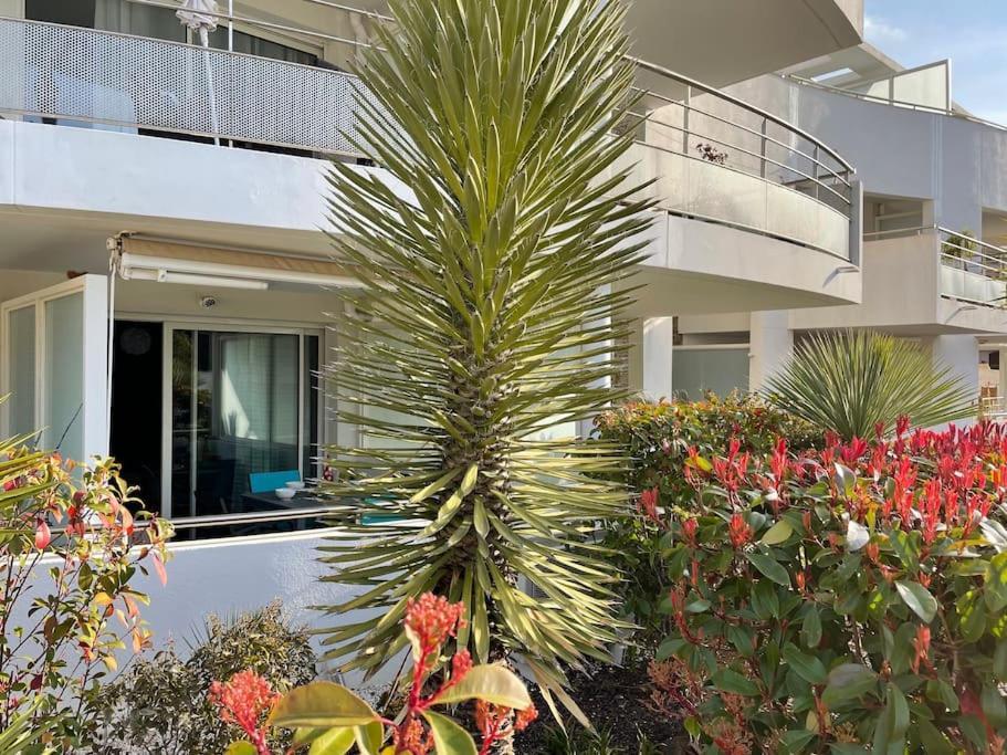Apartamento 21 - Tres Agreable Rdc Avec Terrasse Et Parking Bandol Exterior foto